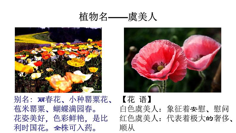 人教高中语文必修上 古诗词诵读《虞美人》课件（21张）第3页