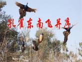 高中语文选择性必修下  《孔雀东南飞并序》（教学课件）同步教学(