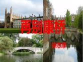 高中语文选择性必修下  《再别康桥》（教学课件）同步教学