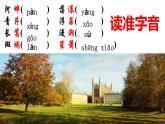 高中语文选择性必修下  《再别康桥》（教学课件）同步教学