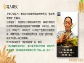 人教高中语文必修上 《喜看稻菽千重浪》-课件-2021-2022学年