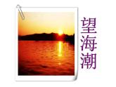 高中语文选择性必修下  《望海潮》课件（56张PPT）