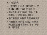 高中语文选择性必修下  《望海潮》课件（56张PPT）