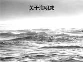 2022-2023学年统编版高中语文选择性必修上册10《老人与海》课件21张
