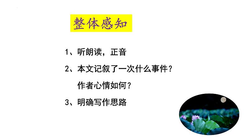 2022-2023学年统编版高中语文必修上册14.2《荷塘月色》课件41张第6页