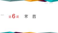 高中语文人教统编版必修 上册6.1 芣苢完美版课件ppt