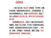 2022-2023学年统编版高中语文选择性必修上册《春江花月夜》课件41张