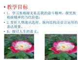 2022-2023学年统编版高中语文选择性必修上册3.2《县委书记的榜样——焦裕禄》课件30张