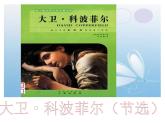 2022-2023学年统编版高中语文选择性必修上册8.《大卫·科波菲尔（节选）》课件33张