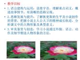 2022-2023学年统编版高中语文选择性必修上册8.《大卫·科波菲尔（节选）》课件33张