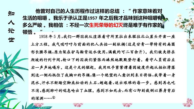 2022-2023学年统编版高中语文必修上册2.3《峨日朵雪峰之侧》课件28张第5页