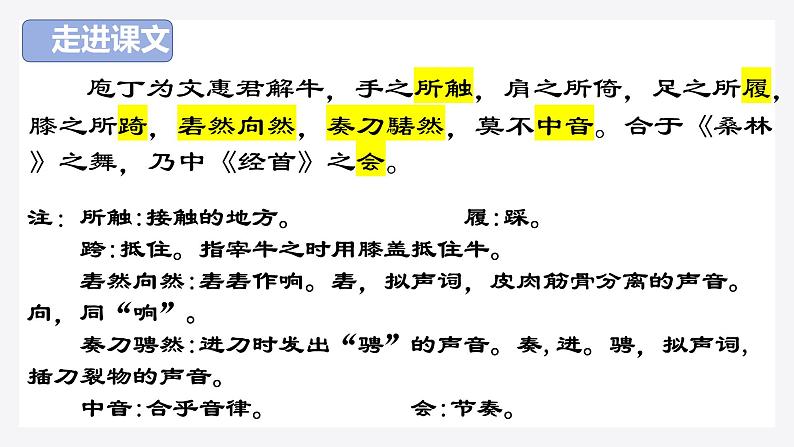 2021-2022学年统编版高中语文必修下册1-3《庖丁解牛》课件40张第5页