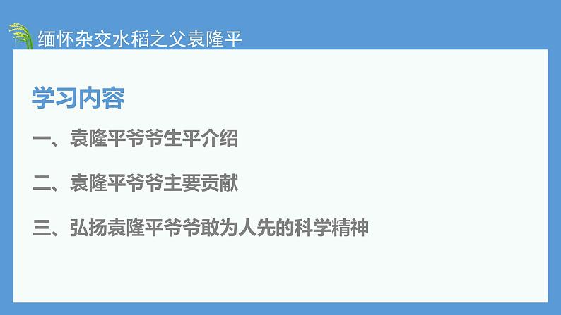 喜看稻菽千重浪——记首届国家最高科技奖获得者袁隆平 同步课件 高中语文部编版必修上册04