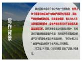 2022-2023学年统编版高中语文必修上册4.1《喜看稻菽千重浪》课件38张