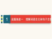 高考语文二轮复习现代文阅读专题3考点4小说的语言与文体特征PPT课件