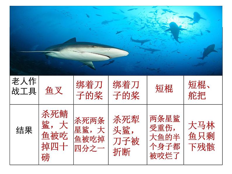 2022-2023学年统编版高中语文选择性必修上册10《老人与海》课件21张第6页