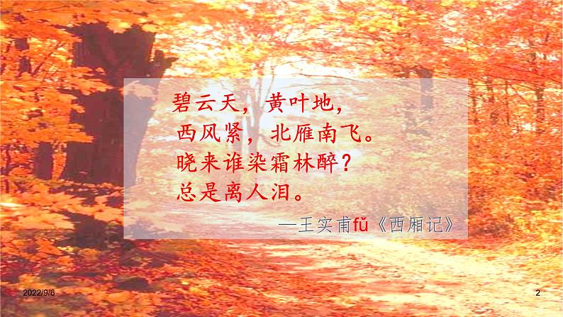 14.1《故都的秋》课件60张 2022-2023学年统编版高中语文必修上册第2页