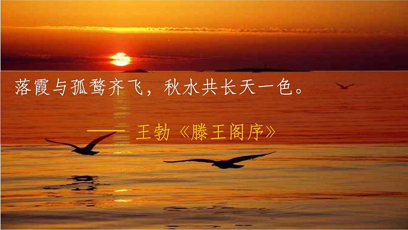 14.1《故都的秋》课件60张 2022-2023学年统编版高中语文必修上册第5页