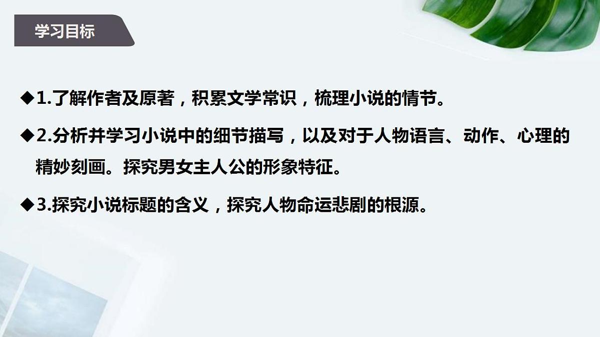 2022-2023学年统编版高中语文选择性必修上册9《复活（节选）》课件38张第2页