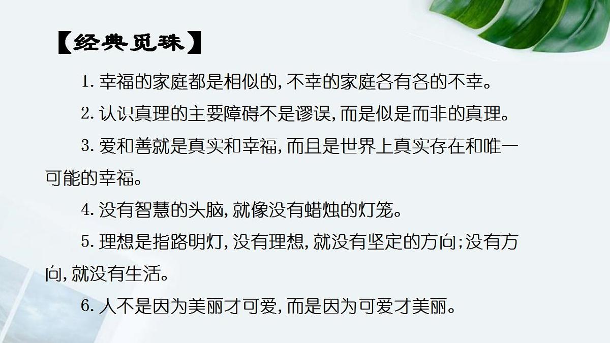 2022-2023学年统编版高中语文选择性必修上册9《复活（节选）》课件38张第3页