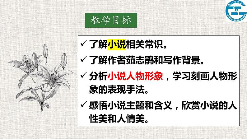 2022-2023学年统编版高中语文必修上册3.1《百合花》课件42张第3页