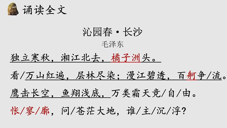 2022-2023学年统编版高中语文必修上册1《沁园春长沙》课件32张04