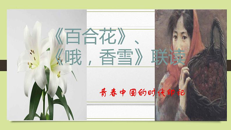 2022-2023学年统编版高中语文必修上册3《百合花》《哦，香雪》联读课件31张01