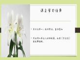 2022-2023学年统编版高中语文必修上册3《百合花》《哦，香雪》联读课件31张