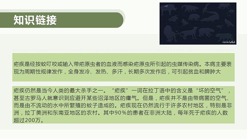 2021-2022学年高中语文统编版必修下册7.1《青蒿素：人类征服疾病的一小步》课件16张第5页