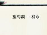 2021-2022学年统编版高中语文选择性必修下册4.1《望海潮》课件25张