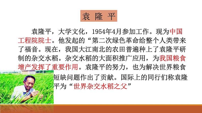 4-1《喜看稻菽千重浪》课件28张+2022-2023学年统编版高中语文必修上册第4页