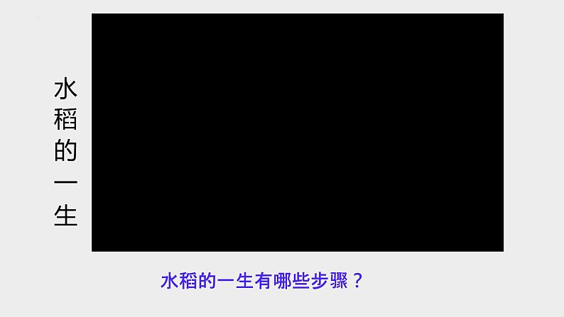 2022-2023学年统编版高中语文必修上册6《芣苢》《插秧歌》课件34张06