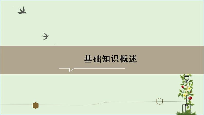 2022—2023学年统编版高中语文选择性必修上册9.《复活（节选）》课件69张第4页