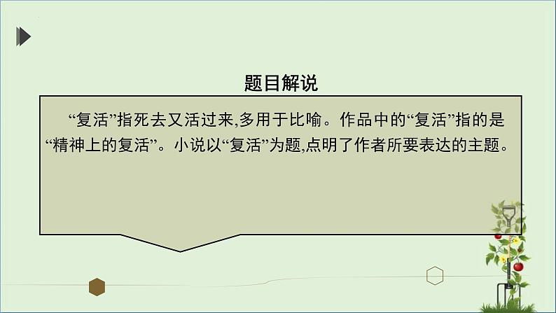 2022—2023学年统编版高中语文选择性必修上册9.《复活（节选）》课件69张第8页