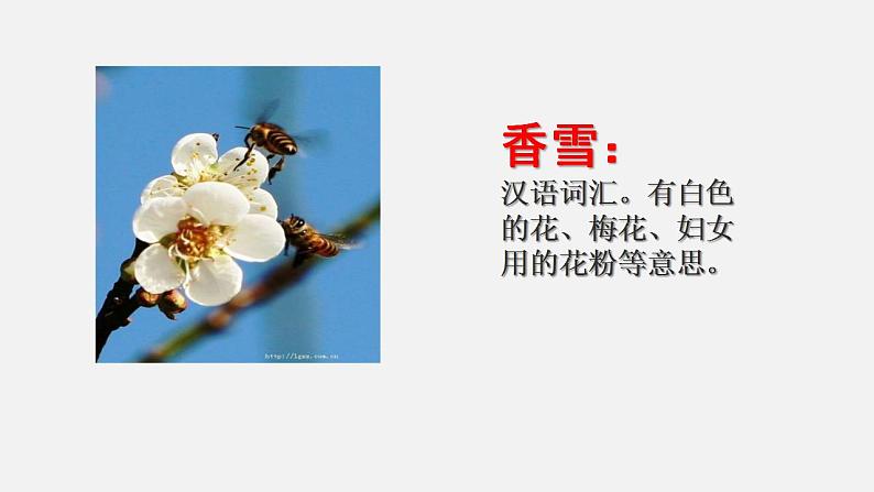 2022-2023学年统编版高中语文必修上册3.2《哦，香雪》课件27张第2页