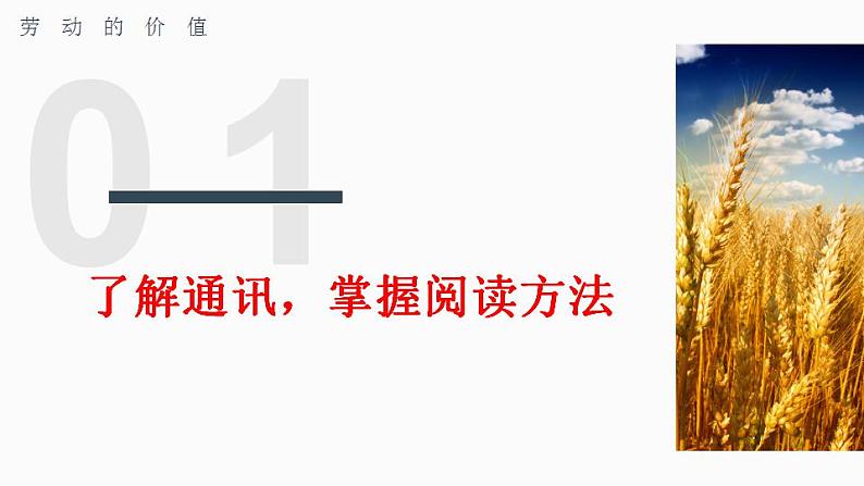 2022-2023学年高中语文统编版必修上册4《喜看稻菽千重浪》《心有一团火，温暖众人心》《“探界者”钟扬》课件39张06