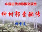2021-2022学年统编版高中语文选择性必修下册11《种树郭橐驼传》课件49张