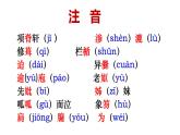 2021-2022学年高中语文统编版选择性必修下册9.2《项脊轩志》课件35张