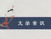 2022-2023学年统编版高中语文选择性必修上册6.2《五石之瓠》课件20张