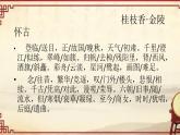 《桂枝香•金陵怀古》课件55张++2021-2022学年统编版高中语文必修下册+