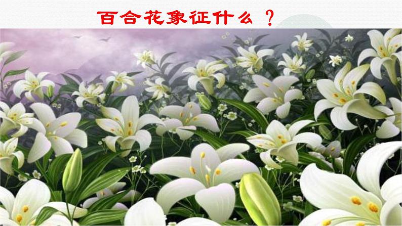 3 百合花 课件 2021-2022学年高一语文统编版必修上册第3页