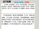 2022-2023学年高中语文统编版（2019）选择性必修上册6.2《五石之瓠》课件27张
