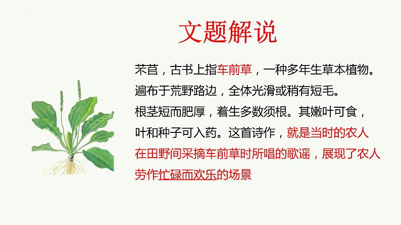 2022-2023学年高中语文统编版必修上册6.《芣苢》《插秧歌》课件73张第4页