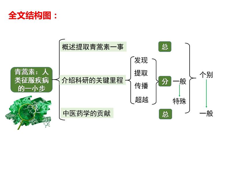 2021-2022学年统编版高中语文必修下册7.1《青蒿素：人类征服疾病的一小步》课件第8页