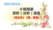 专题08  《百合花》《哦，香雪》：小说语言特色（课件）-2022-2023学年高一语文对接高考之教材中的考点（统编版必修上册）