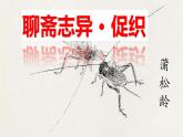 2021-2022学年统编版高中语文必修下册14.1《促织》课件