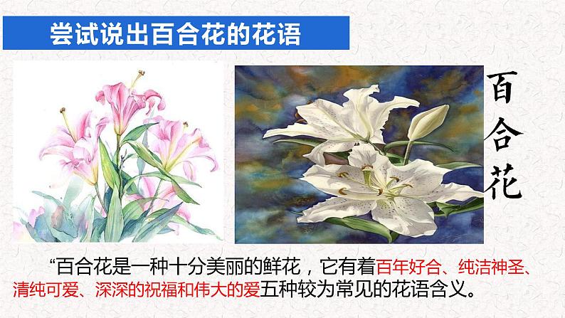 2022-2023学年统编版高中语文必修上册3.1《 百合花》 课件第2页