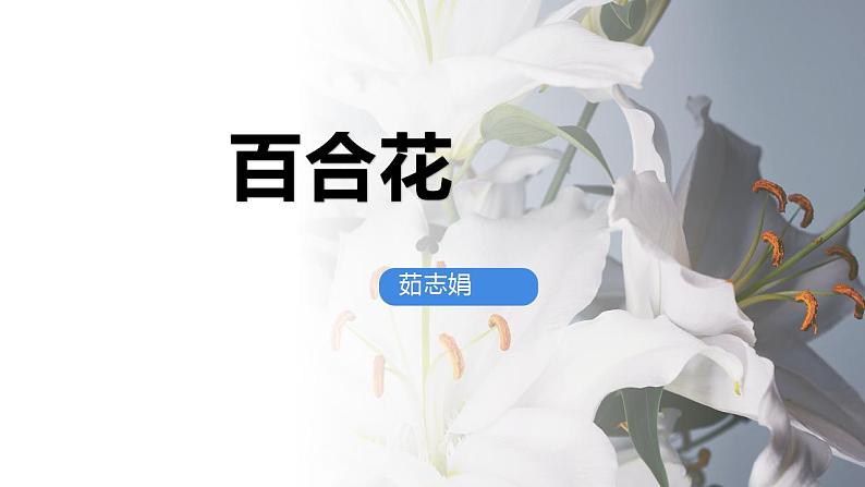 2022-2023学年统编版高中语文必修上册3.1《 百合花》 课件第3页