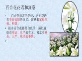 3.《哦，香雪》《百合花》课件2022-2023学年统编版高中语文必修上册