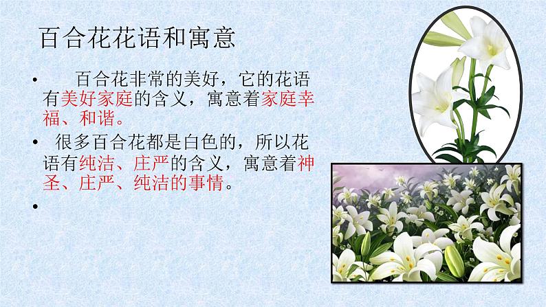 3.《哦，香雪》《百合花》课件2022-2023学年统编版高中语文必修上册第5页